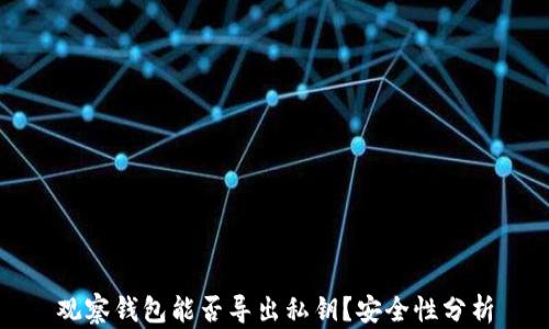 观察钱包能否导出私钥?安全性分析