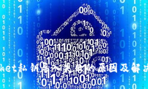 TokenPocket私钥导入失败的原因及解决方案分析