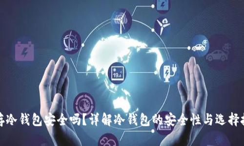 储存冷钱包安全吗?详解冷钱包的安全性与选择技巧