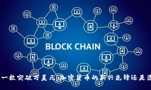 Pi币一枚突破万美元:加密货币的新兴先锋还是泡沫?