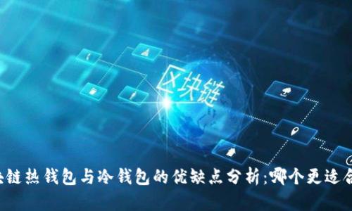 区块链热钱包与冷钱包的优缺点分析:哪个更适合你?