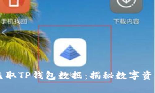 黑客如何盗取TP钱包数据:揭秘数字资产安全隐患