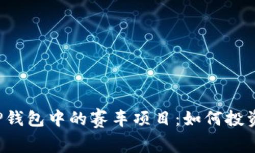 深度解析T P钱包中的赛车项目:如何投资与赚取收益