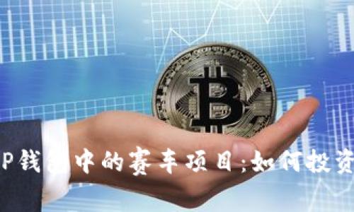 深度解析T P钱包中的赛车项目:如何投资与赚取收益