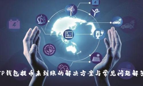TP钱包提币未到账的解决方案与常见问题解答
