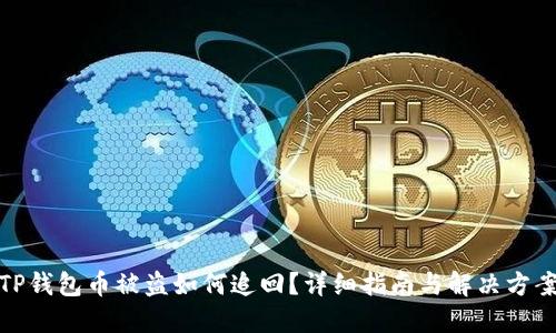 TP钱包币被盗如何追回?详细指南与解决方案