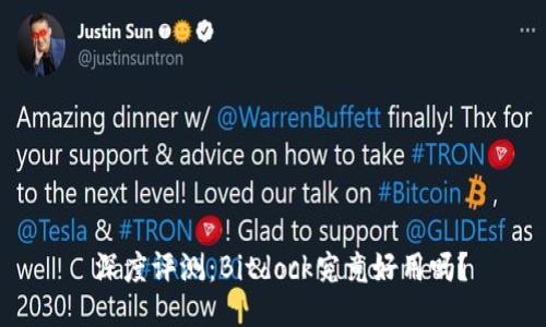  深度评测：Bitdock究竟好用吗？