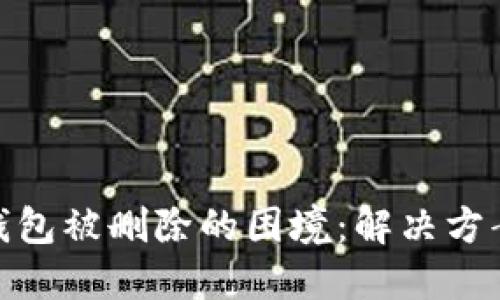 如何应对冷钱包被删除的困境：解决方案与预防措施